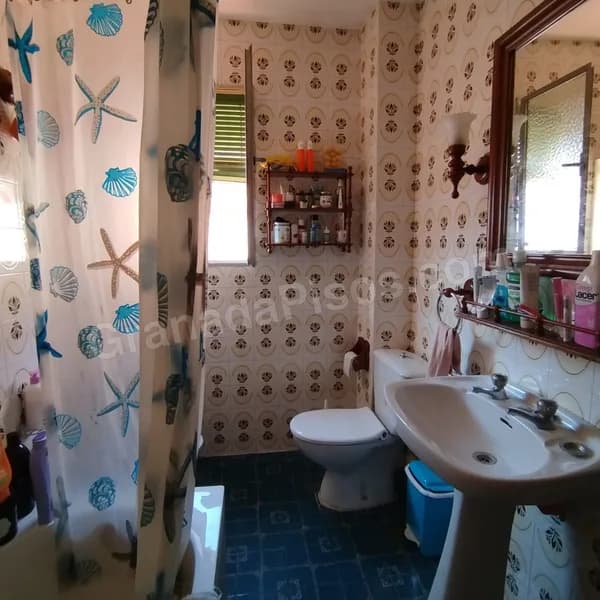 Habitación en Ciencias (3)