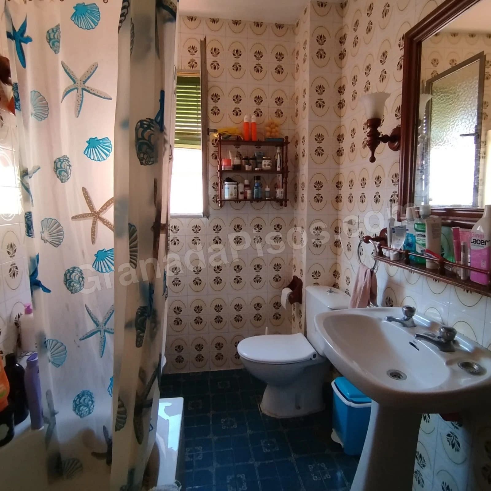 Habitación en Ciencias (3)