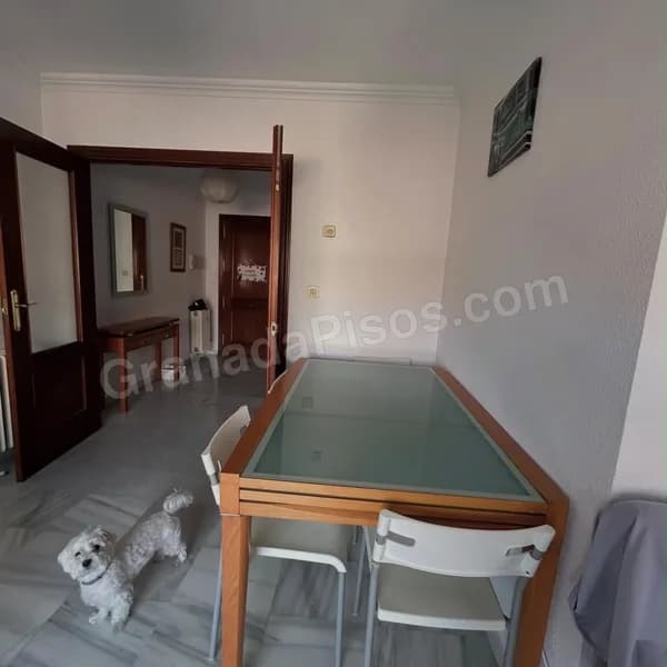 Habitación en Cerca de la cartuja (4)