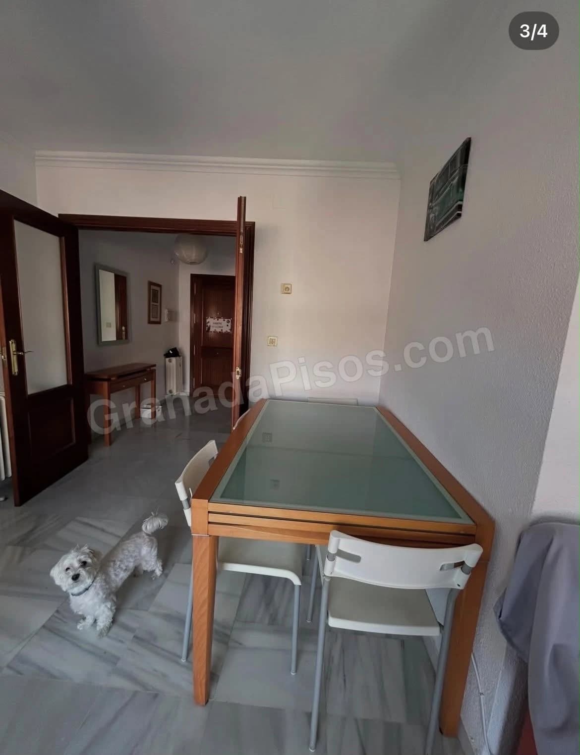 Habitación en Cerca de la cartuja (4)