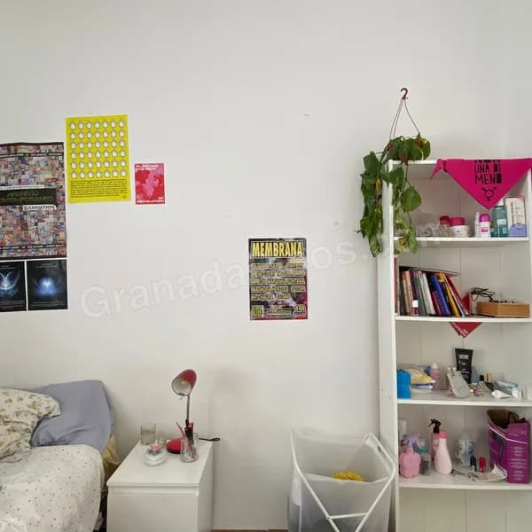 Habitación en San Ildefonso (5)