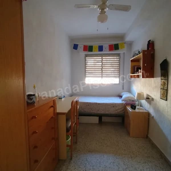 Habitación en Ciencias (8)