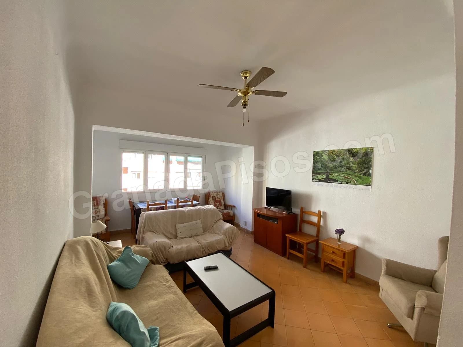 Habitación en Ciencias (3)