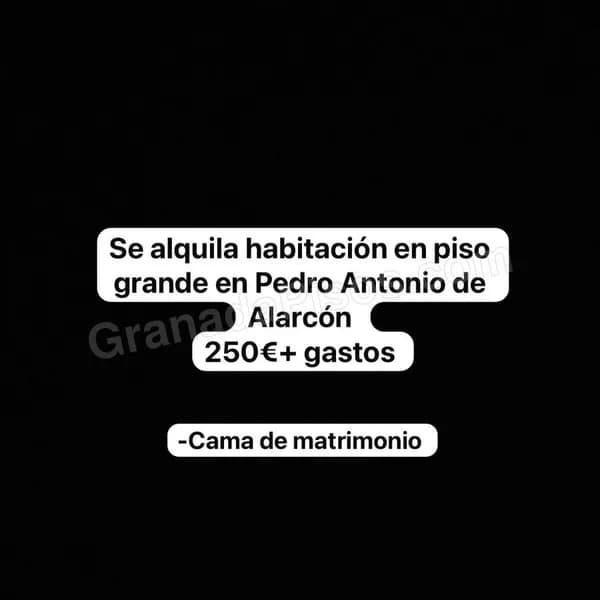 Habitación en Pedro Antonio de Alarcón