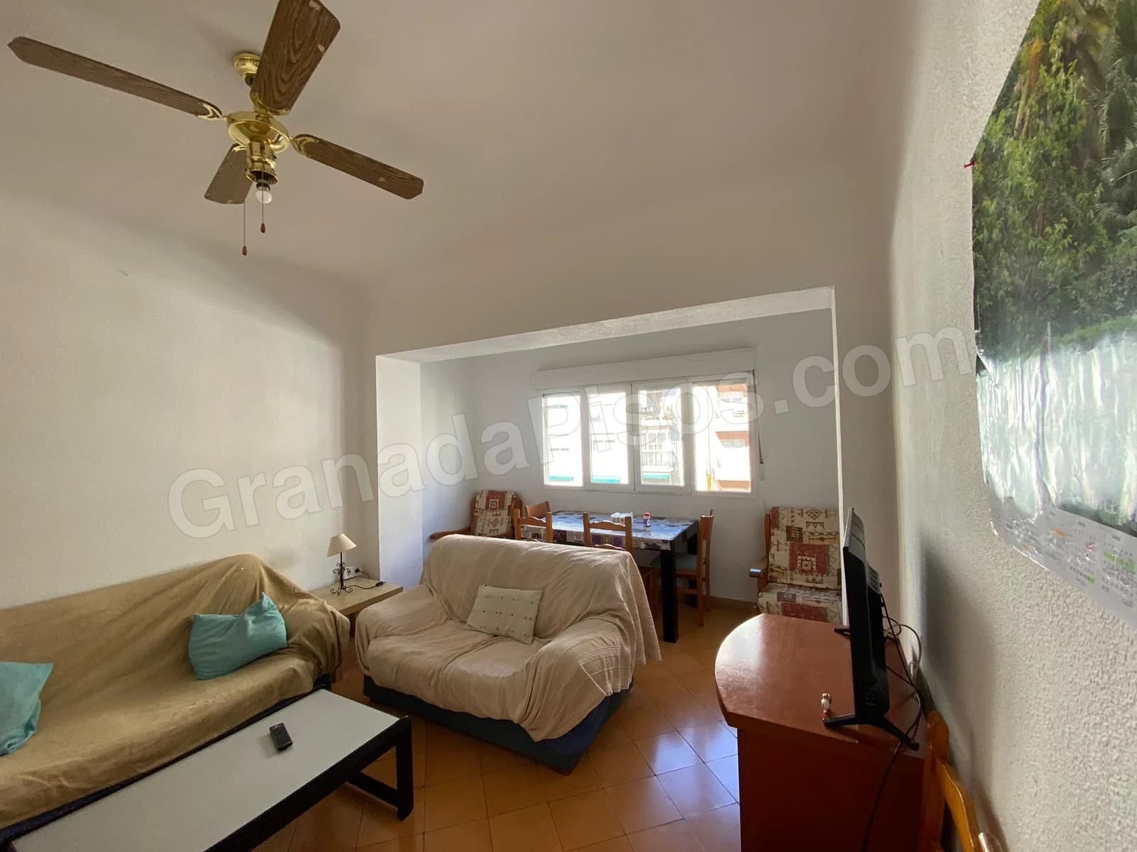 Habitación en Ciencias (2)