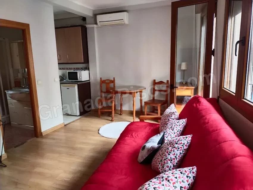 Estudio en Catedral (4)