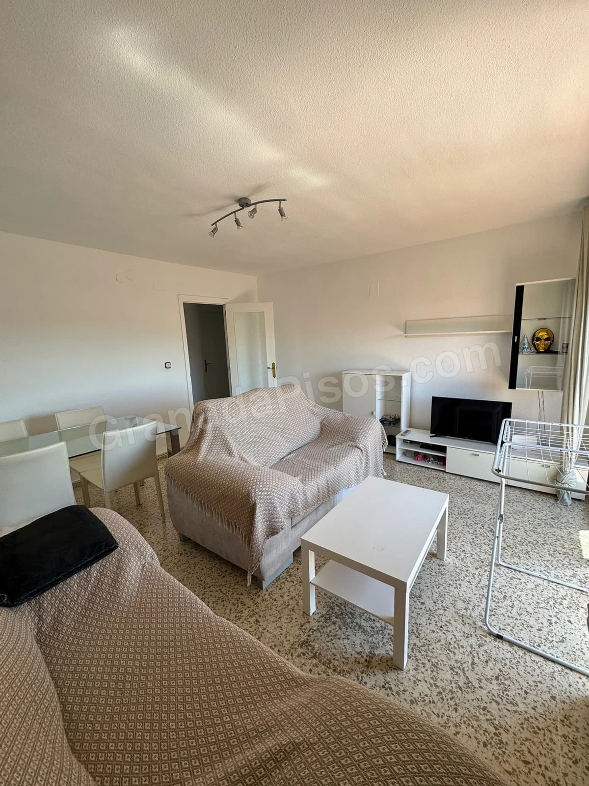 Habitación en Cartuja (4)