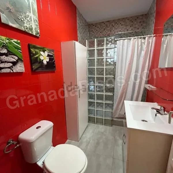 Habitación en Centro (Gran Vía / Trinidad) (5)