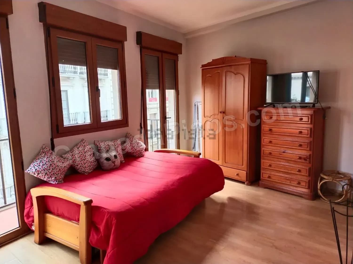 Estudio en Catedral (3)