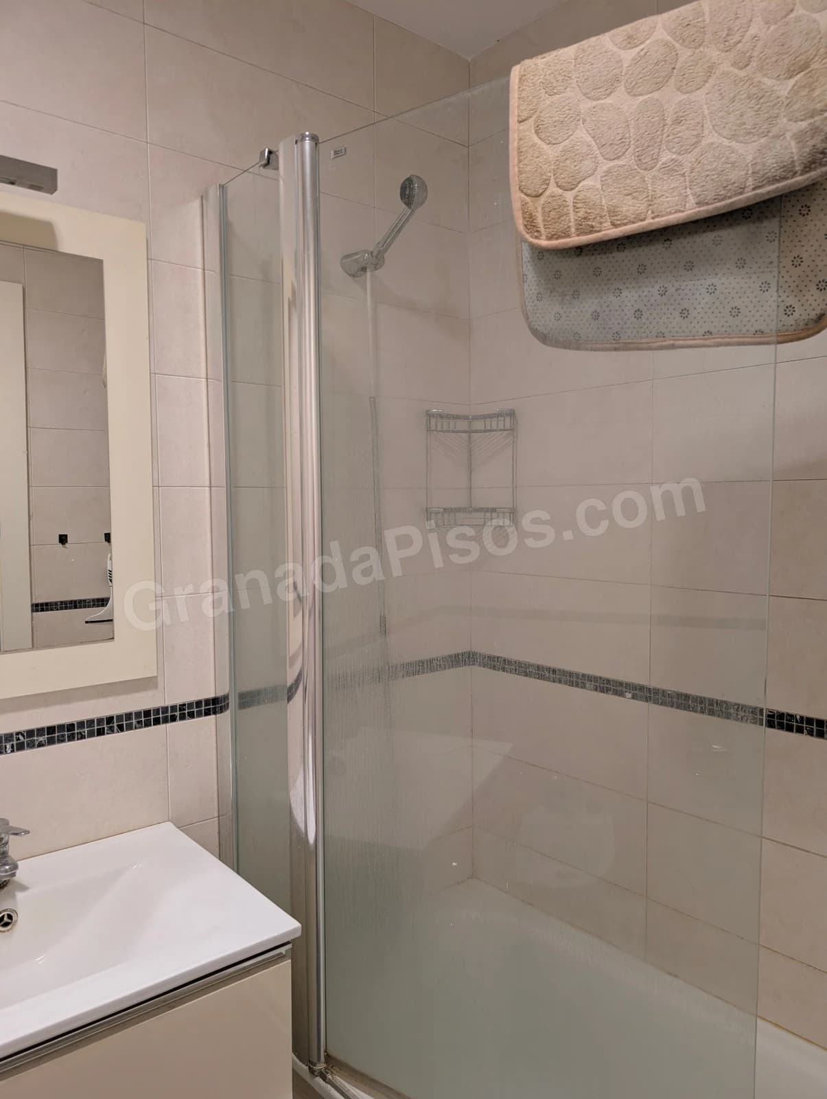 Habitación en Ciencias (4)