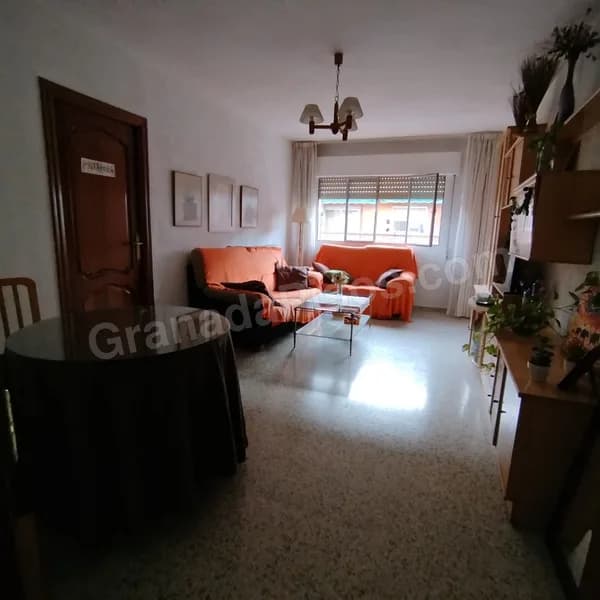Habitación en Ciencias (2)