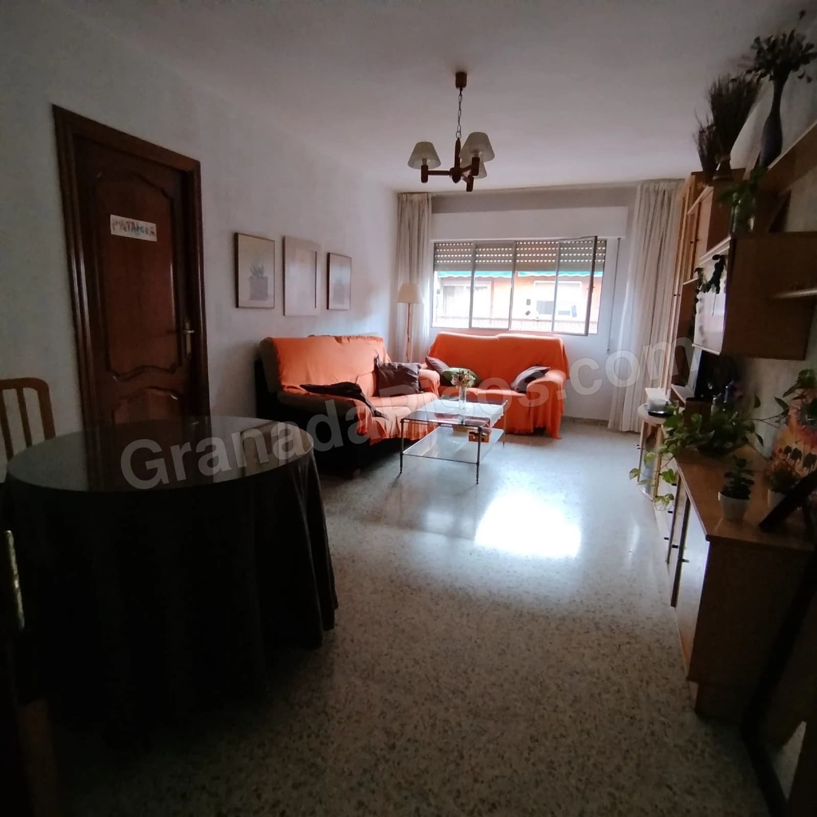 Habitación en Ciencias (2)