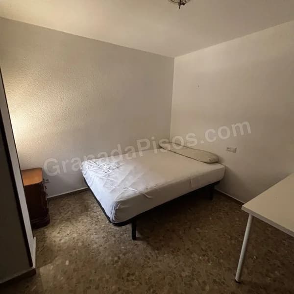 Habitación en traumatoligia (12)