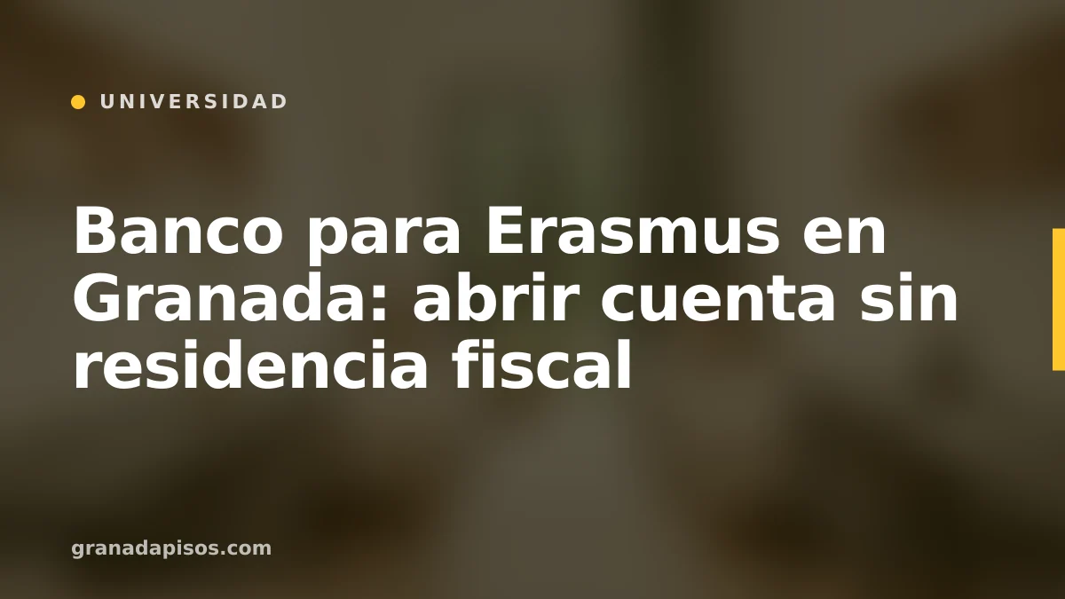 Portada del artículo: banco para Erasmus en Granada