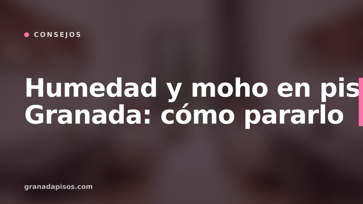Portada del artículo: Humedad y moho en pisos de Granada: cómo pararlo