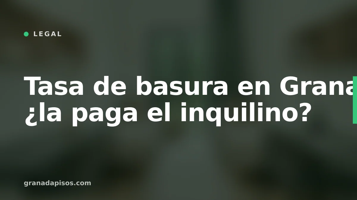 Portada del artículo: Tasa de basura en Granada: ¿la paga el inquilino?